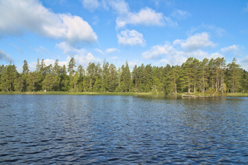 Swedish lake with forest reflection under blue sky on a sunny day