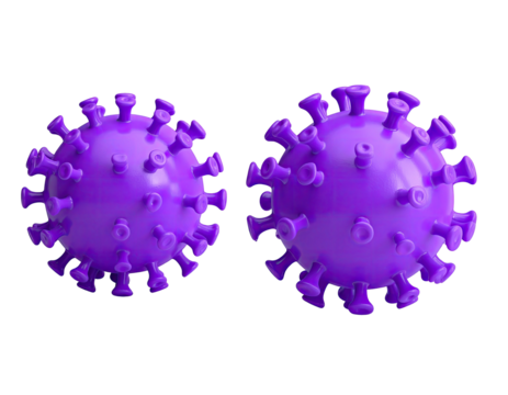 Two glossy, purple spherical virus models with spike proteins against a black background