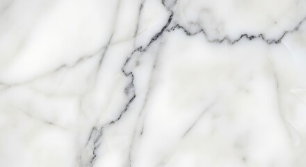 Fototapeta premium Closeup of white marble with black veins