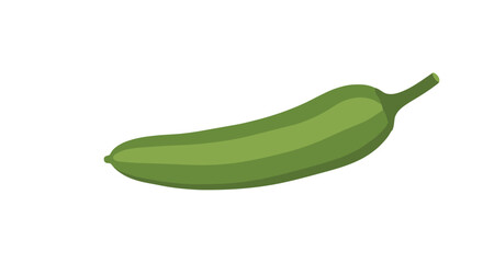 A fresh green cucumber for healthy eating and cooking.