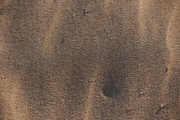 vista ultra-macro di granelli di sabbia su una spiaggia