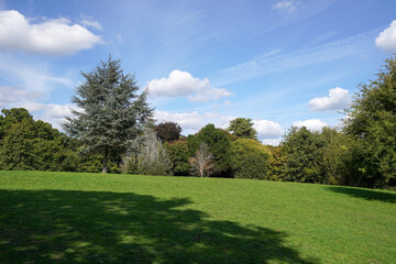 trees and grass area of parkland. weather and outdoors scene