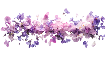 Delicate floral arrangement featuring soft pastel purple and pink petals, perfect for elegant designs and romantic projects, conveys spring freshness,isolated on white background.