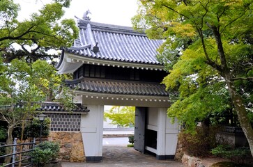 Fototapeta premium 田原城 桜門