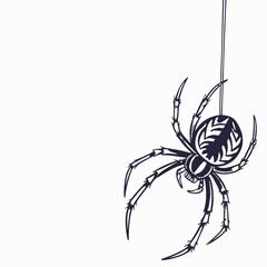Dark spider hanging from a thin thread insect arachnid