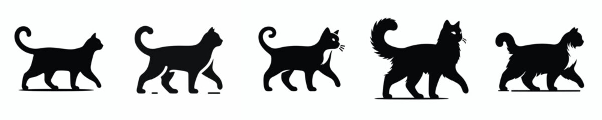 vector black and white silhouette of a cat