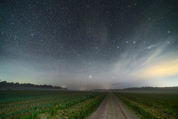 Night sky full of stars. Milky Way above the wheat field.