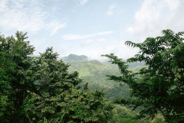 Obraz premium A collection of serene landscapes and vibrant nature moments — where the sea meets the sky and colors come alive.