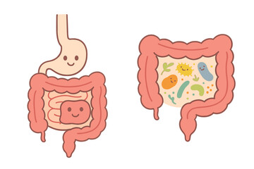 Good intestine flora concept. Gastrointestinal tract and digestive system with healthy microbiome. Cartoon cute gut bacteria, probiotics and microorganisms vector illustration.