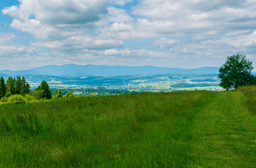 A grassy path winds across a bright green meadow, opening to a panoramic view of blue mountains in the distance under a vibrant summer sky. A tranquil scene of nature and open space.