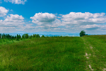 Expansive meadow leading to a breathtaking view of distant rolling mountains. Soft light, scattered clouds, and lush greenery capture the calm beauty of the summer countryside.