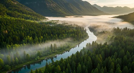Aerial view of a serene river winding through a lush green forest landscape