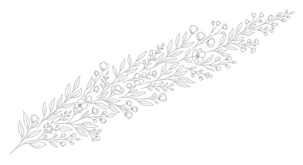 Obraz premium Elegant Vector Floral Design, Nature Elements, Botanical Illustration, White Background, Minimalist Style, Aesthetic Appeal