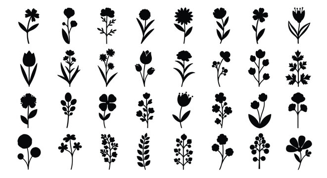 Floral Vector Illustrations, Nature, Botanical Design, Art Collection, Minimalist Style, Creative Environment, Black and White Pattern