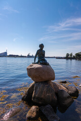 Obraz premium Copenhagen, Denmark 07-20-2025 The bronze statue of the Little Mermaid sitting on a rock by the waterside at the Langelinie promenade in Copenhagen. The small and unimposing statue is an icon in town.