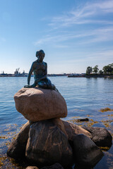 Obraz premium Copenhagen, Denmark 07-20-2025 The bronze statue of the Little Mermaid sitting on a rock by the waterside at the Langelinie promenade in Copenhagen. The small and unimposing statue is an icon in town.