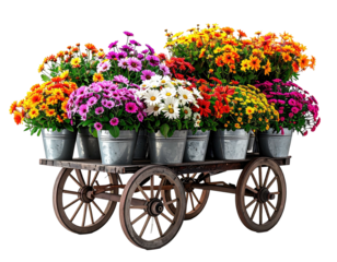 A rustic wooden cart overflows with vibrant potted flowers of many colors