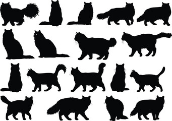 Cat silhouette collection, feline poses vector set, walking, sitting, standing cats, black animal shapes, pet illustration, domestic cat design, isolated icons