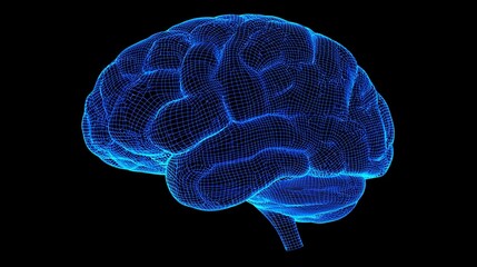 Wireframe model of a human brain, digitally rendered in blue against a black background