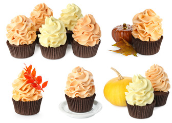 Yummy fall cupcakes isolated on white, set