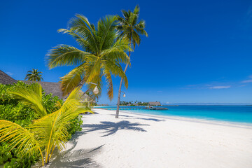 Majestic Maldives beach landscape with beautiful palm trees, white sand close to sea, sunny blue sky, tropical island paradise, summer vacation tourism, exotic travel, tropical resort wall art decor