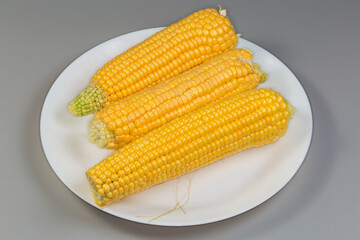 Peeled raw sweet corn ears on dish on gray background