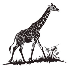 Black and white vector silhouette of a giraffe walking in grass