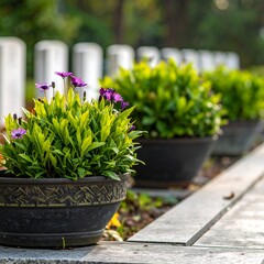 Potted flowers sit atop a stone border in front of a row of headstones