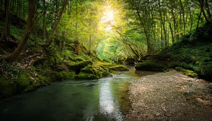 Obraz premium Ravine Deep Ravine In The Green Forest Thicket Summer Natural Landscape