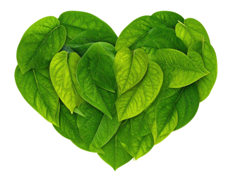 Heart shape created from vibrant green leaves on black backdrop
