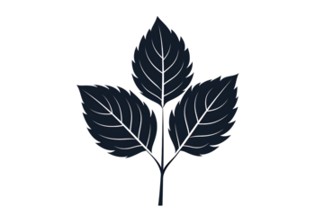 Elegant dark blue leaves with delicate white veins create a sophisticated botanical design perfect for modern branding and nature-inspired projects