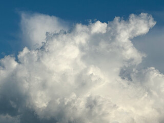 White clouds on a summer blue sky for background or wallpaper design. Majestic cumulus clouds float across the endless sky, their graceful forms painting a mesmerizing canvas of beauty and grandeur.