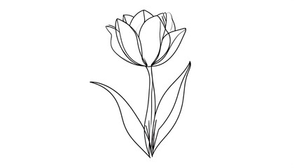 Single line drawing of a tulip