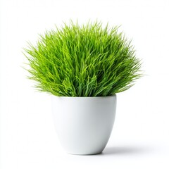 A vibrant green grass plant in a simple white pot, perfectly demonstrating the beauty of nature