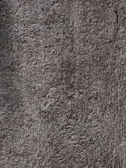 the background and texture of the wall are rough and unpainted