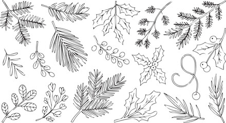 Vector art of collection of handdrawn botanical leaves and branches