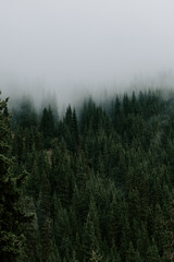 Mysterious Almaty mountains, shrouded in dense fog.
