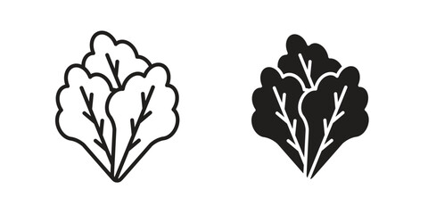 Lettuce icon. flat and stroke style Collection. simple symbol