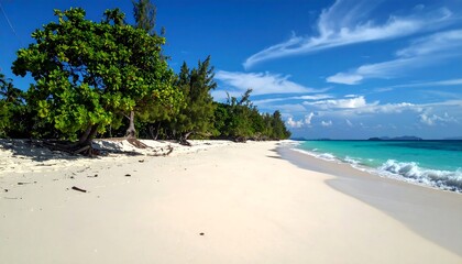 Pristine white sand beach meets turquoise water under a vibrant blue sky; lush greenery lines the shore