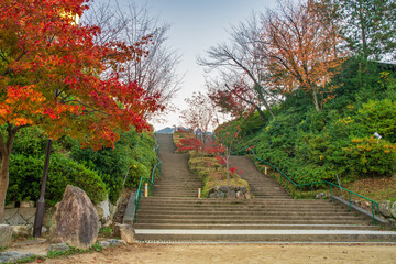 Kodaiji Park in Kyoto,. Japan