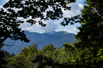 Obraz premium alte catene montuose nel nord Italia viste da lontano da dietro vari alberi scuri in una foresta, di giorno, con cielo nuvoloso