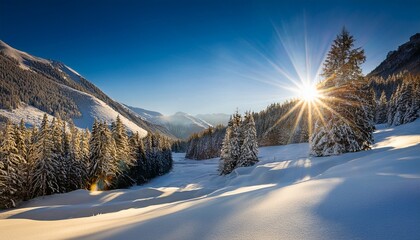 Sunlight Bouncing Off The Snow