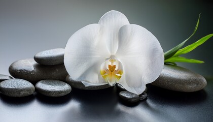 White Orchid And Spa Stones On The Grey Background
