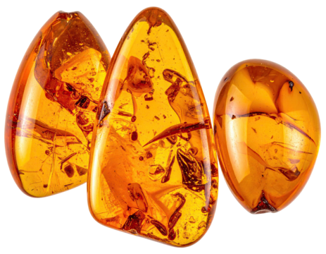 Three transparent amber specimens, showing trapped insect inclusions, backlit