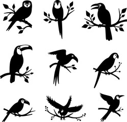 Tropical Bird Silhouette Set (Toucan and Hornbill-like)