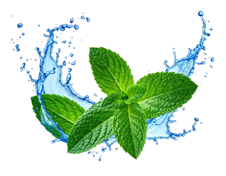 Fresh green mint sprigs with a surrounding arc of vibrant, splashing water