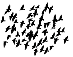 Blurred, monochrome shot with a faint speckled pattern and few white highlights