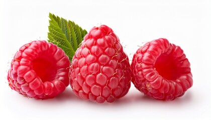 Group Of Four Raspberries Isolatied On White Background