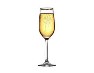 A tall, elegant glass of sparkling liquid against a stark black background