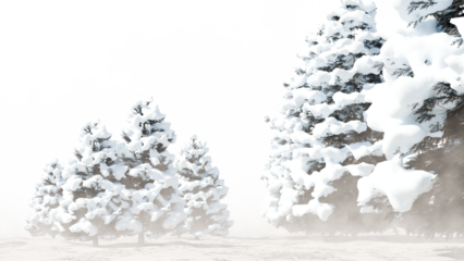 Snowy Evergreen Trees in Winter Forest Isolated PNG Transparent